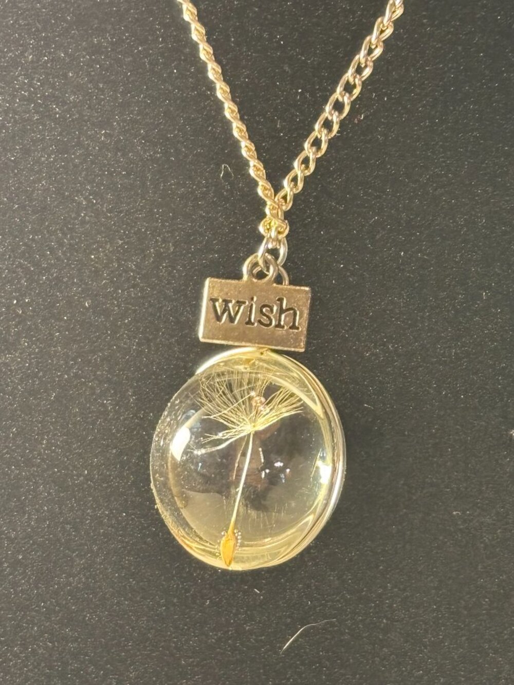 Silver Tone Real Dandelion Fluff Glass Globe Pendant with Wish Charm Necklace